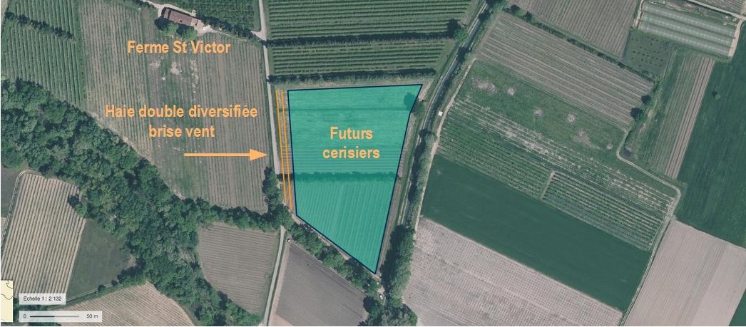 Je Diagnostique Ma Ferme Plantons Des Haies Acte Ii Je Diagnostique